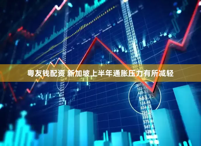 粤友钱配资 新加坡上半年通胀压力有所减轻