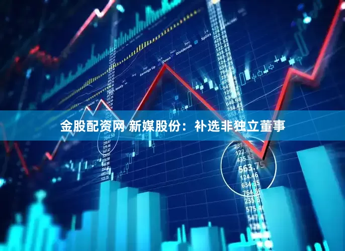 金股配资网 新媒股份：补选非独立董事