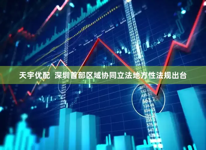 天宇优配  深圳首部区域协同立法地方性法规出台
