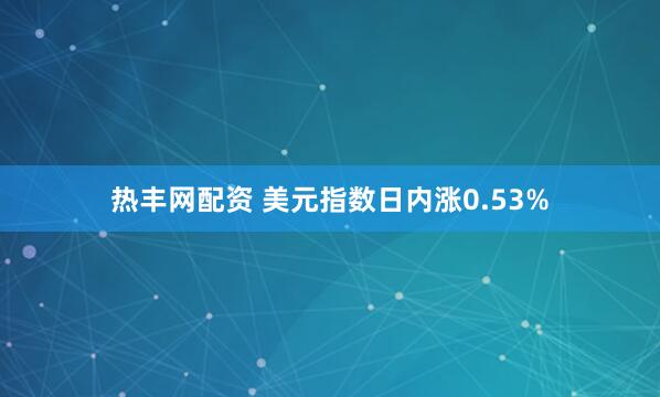 热丰网配资 美元指数日内涨0.53%